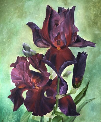 Play with Fire Irises by Alesia Yeremeyeva, Painting for Sale on Select