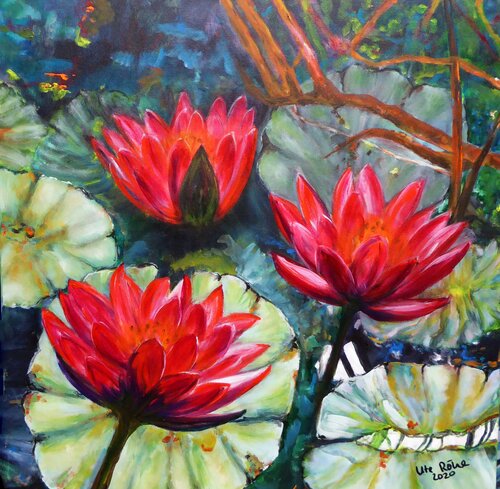 Water lilies by Ute Roehe, Painting for Sale on Select
