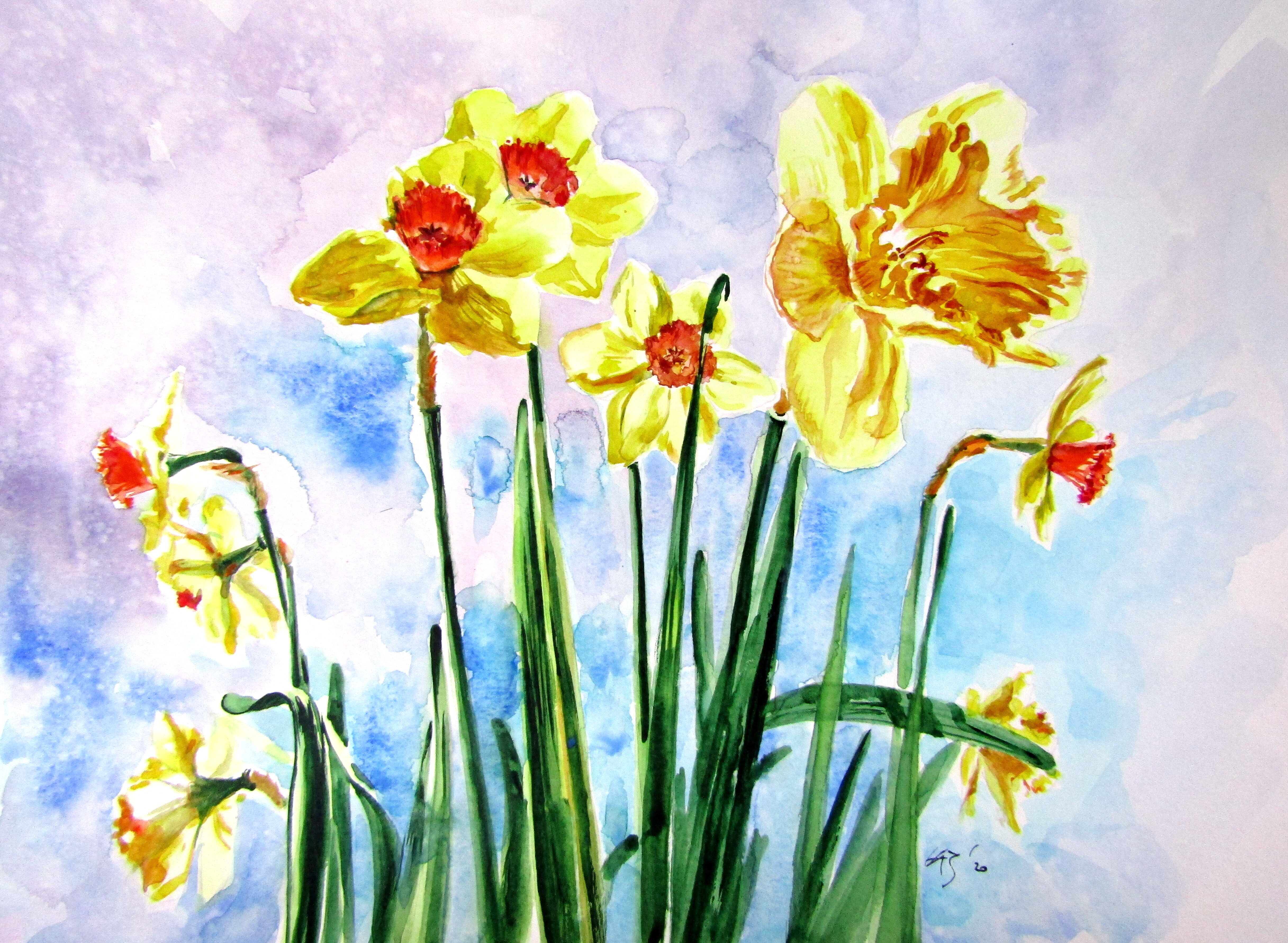 Topic Daffodil paintings
