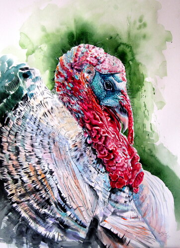 Turkey by Anna Brigitta Kovacs, Painting for Sale on Select