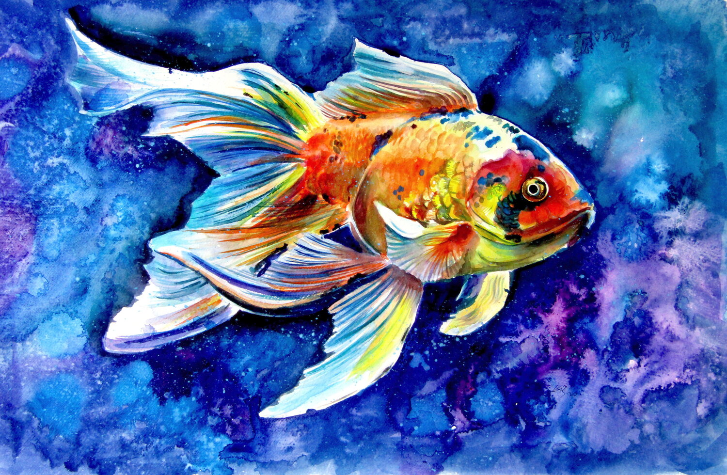 Goldfish Anna Brigitta Kovacs Original painting for sale