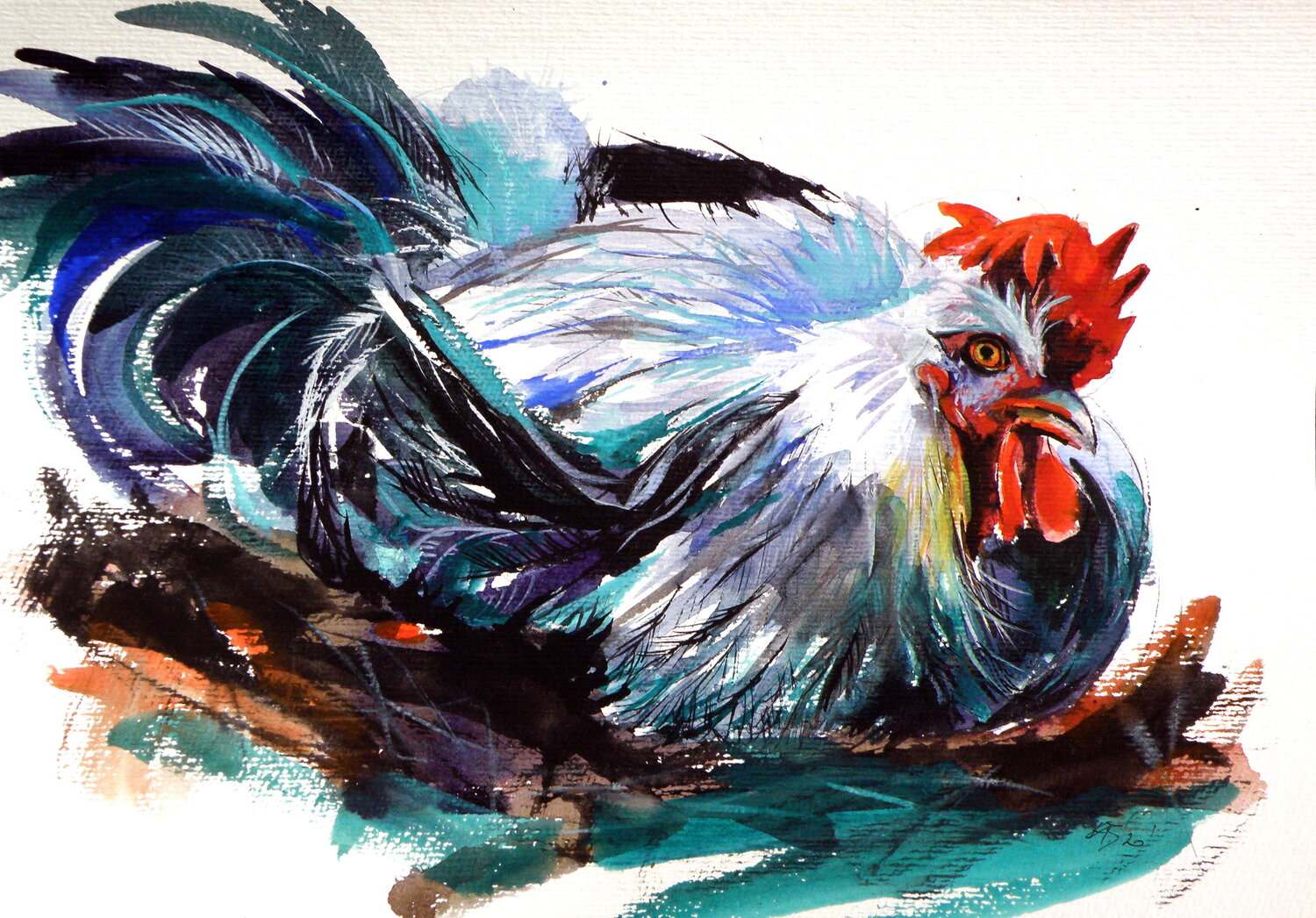 Resting rooster Anna Brigitta Kovacs Original painting for sale