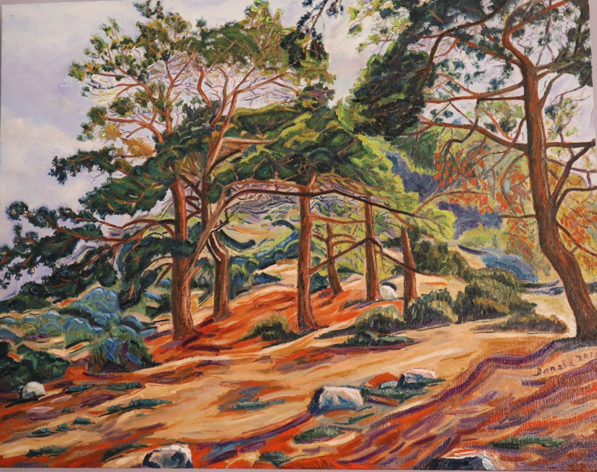 AKAMAS PINE TREES