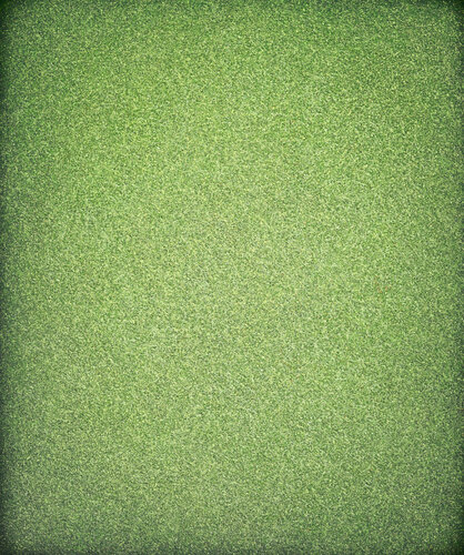 "Field of Green" by Heidi Thompson, Painting for Sale on Select