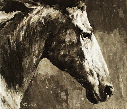 Black and White II. Horse series by Andrei Sitsko, Painting for Sale on Select