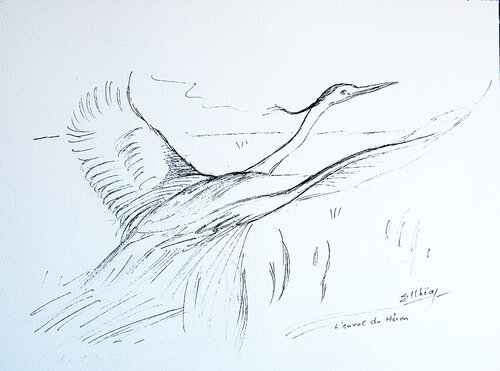L'envol du Héron - The Heron Takes Flight by Marie-Claude ELLHËA, Drawing for Sale on Select
