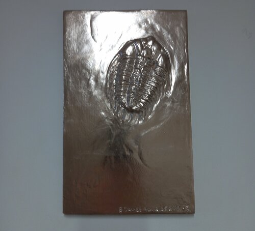 Trilobite fossil by Barry Davies RCA, Sculpture for Sale on Select