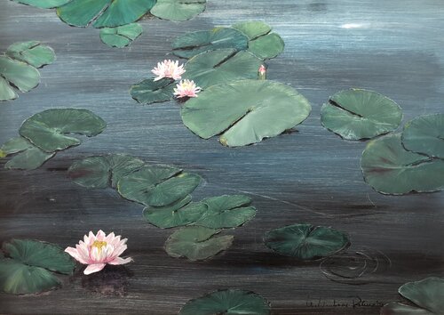 Seerosen by Christa Nienhaus-Rekers, Painting for Sale on Select