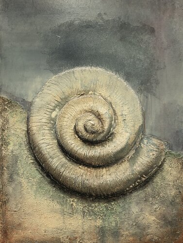 Ammonit by Christa Nienhaus-Rekers, Painting for Sale on Select