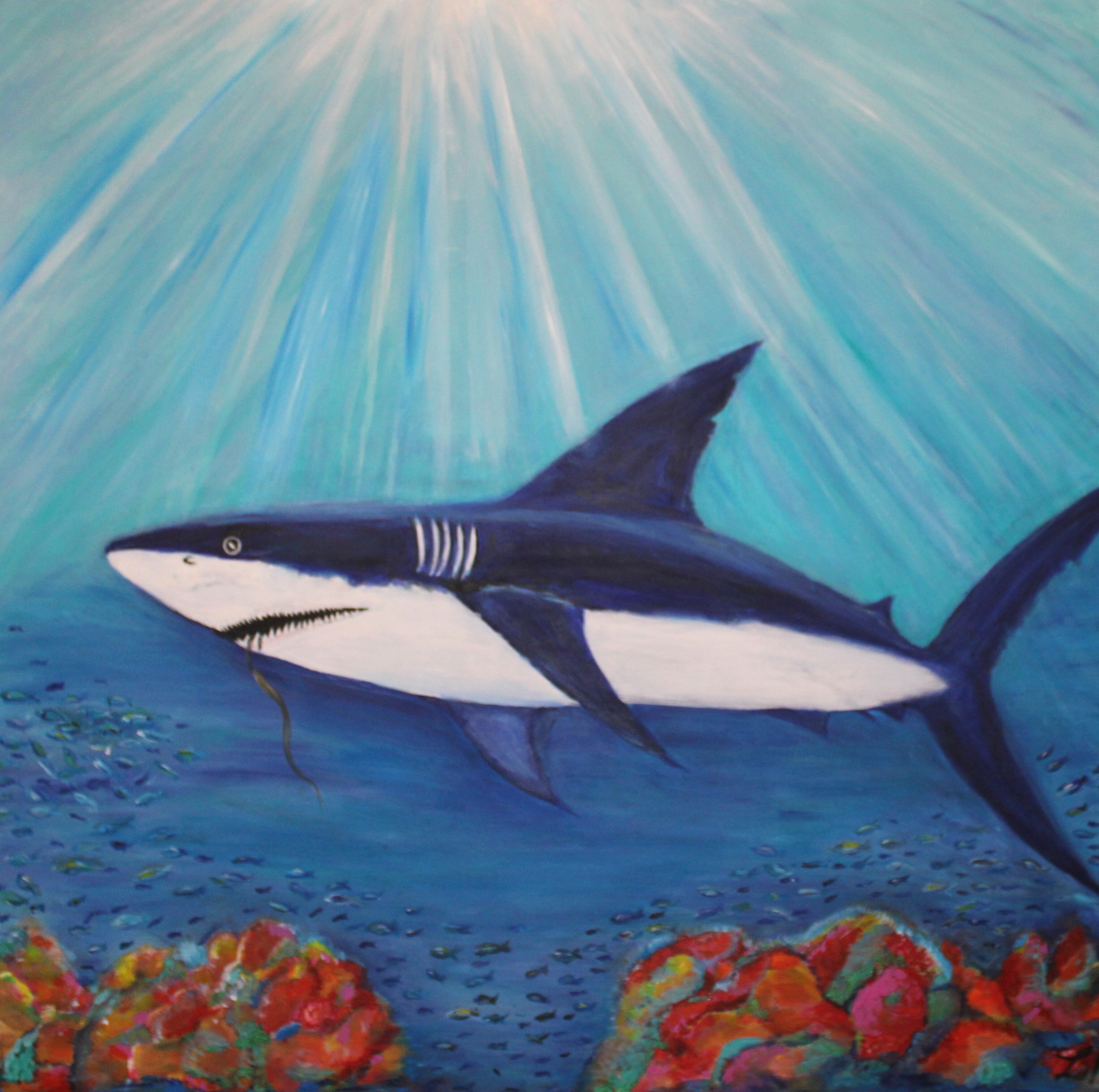 Shark