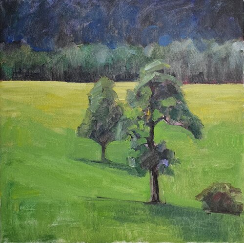 "Schattenspiel unter den Obstbäumen" Etüde by Tamara Siebert, Painting for Sale on Select