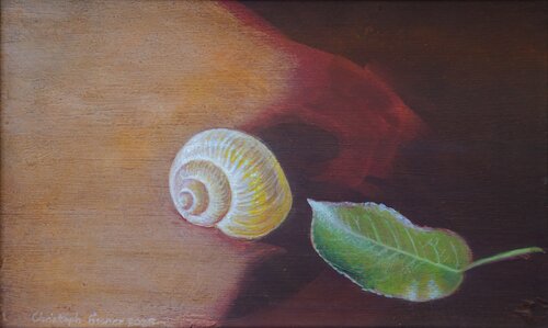Schnecke und Blatt by Christoph Fischer, Painting for Sale on Select