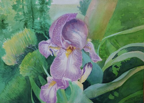 Schwertlilie by Christoph Fischer, Painting for Sale on Select