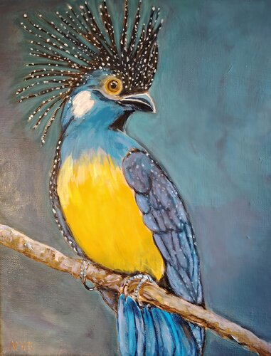 L'oiseau etoilé by Muriel Ho Paintings, Painting for Sale on Select