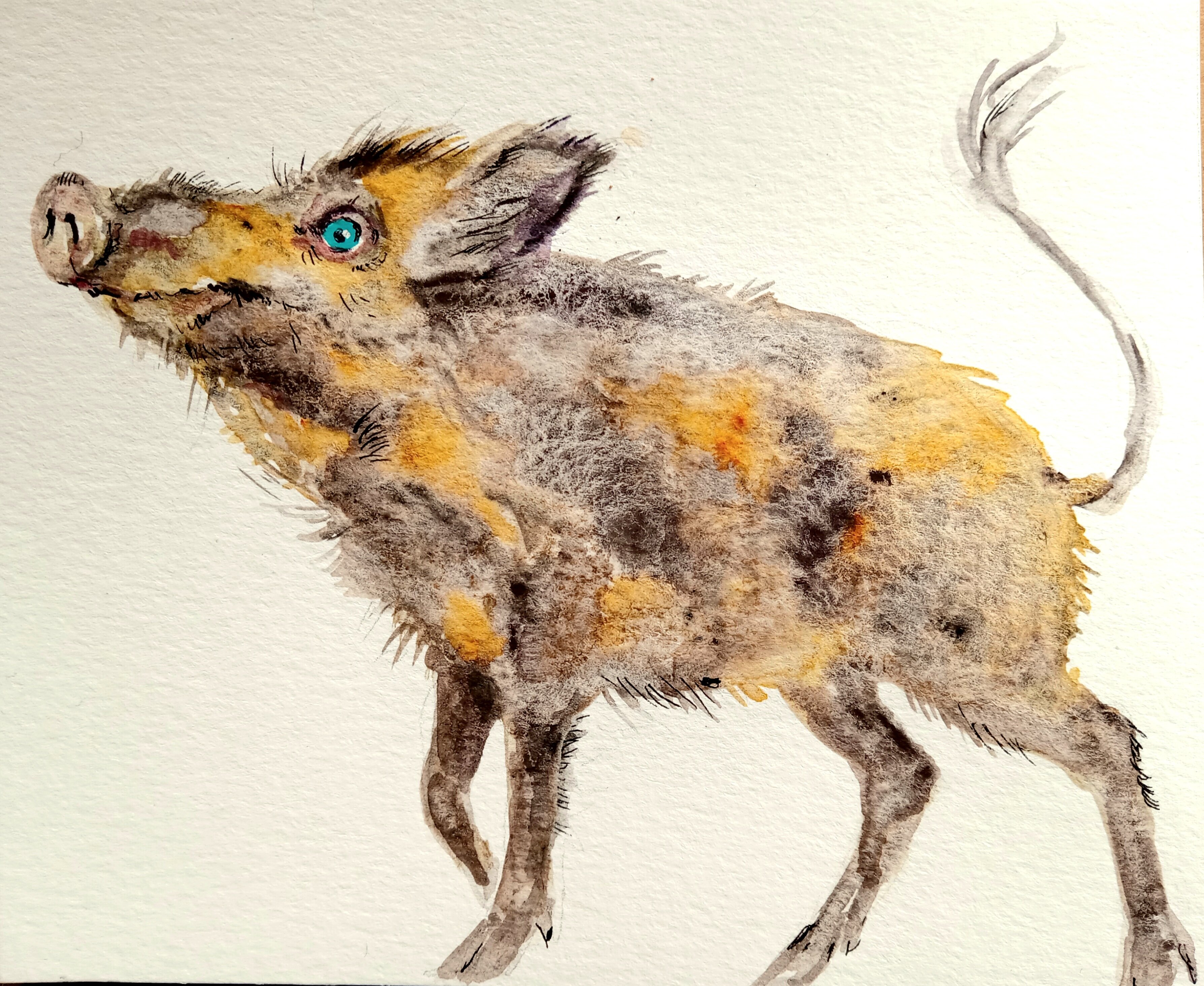 Topic Wild paintings