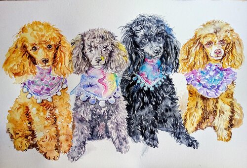 Four poodles by Daniela Vasileva, Painting for Sale on Select