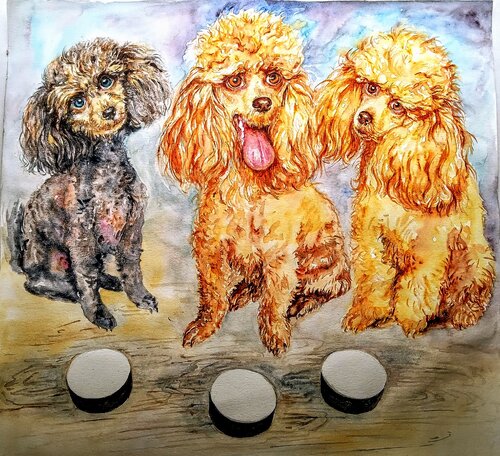 Three toy poodles waiting for a treat by Daniela Vasileva, Painting for Sale on Select