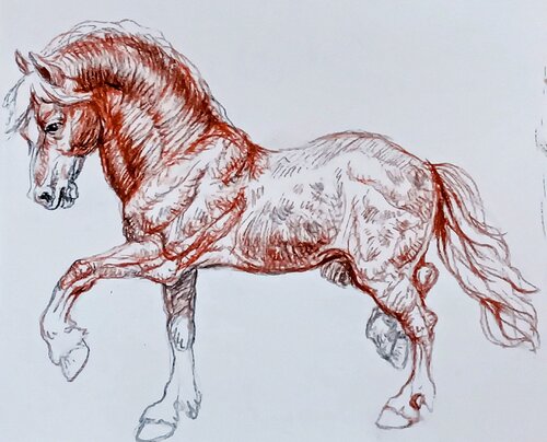 Dappled Horse in motion by Daniela Vasileva, Drawing for Sale on Select