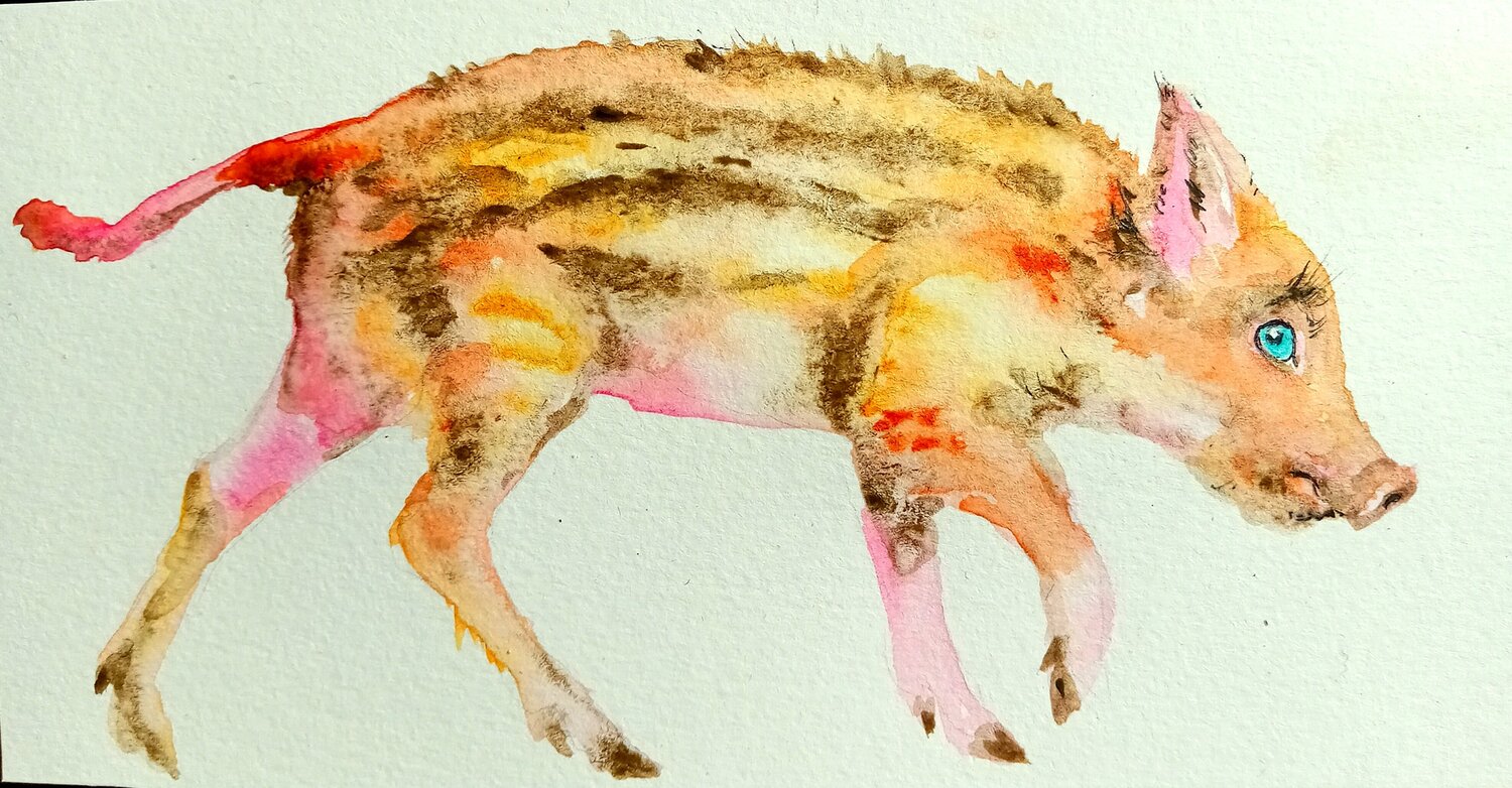Lucky wild piglet Daniela Vasileva Original painting for sale