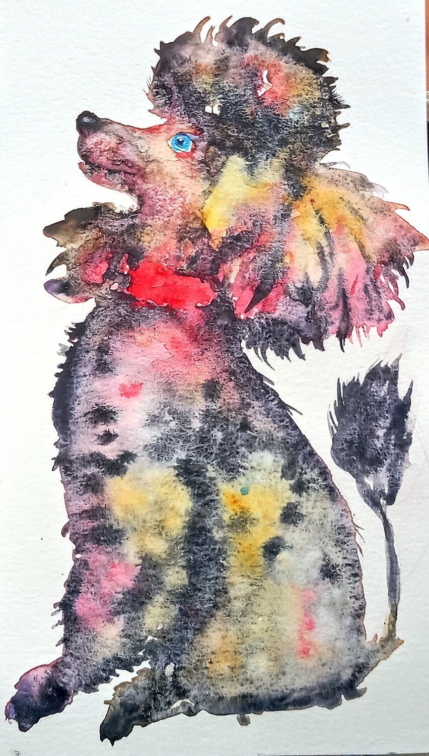 Poodle puppy dog waiting for a treat Daniela Vasileva Original painting for sale