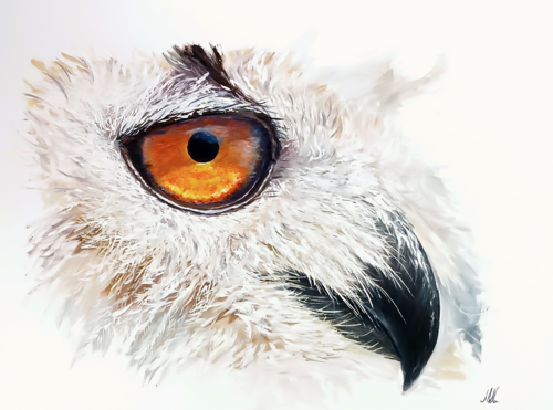 The look by Mantas Naulickas, Painting for Sale on Select