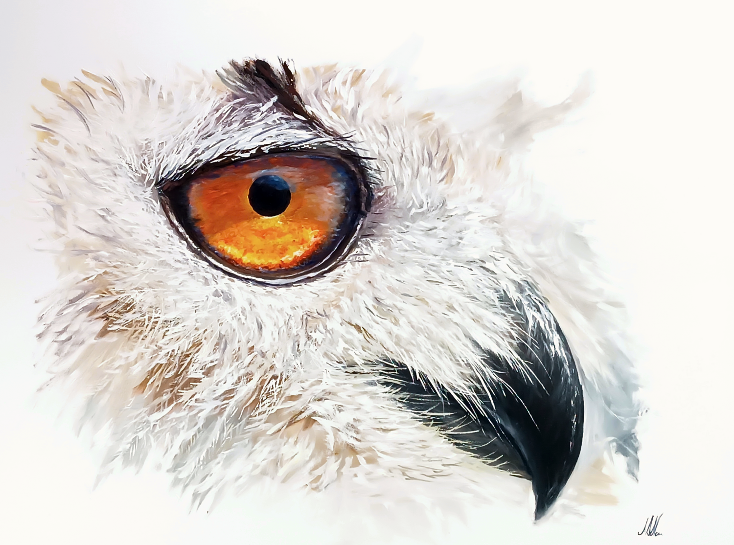The look Mantas Naulickas Original painting for sale