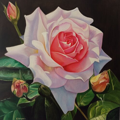 Königin der Nacht by Olga Valenzuela, Painting for Sale on Select