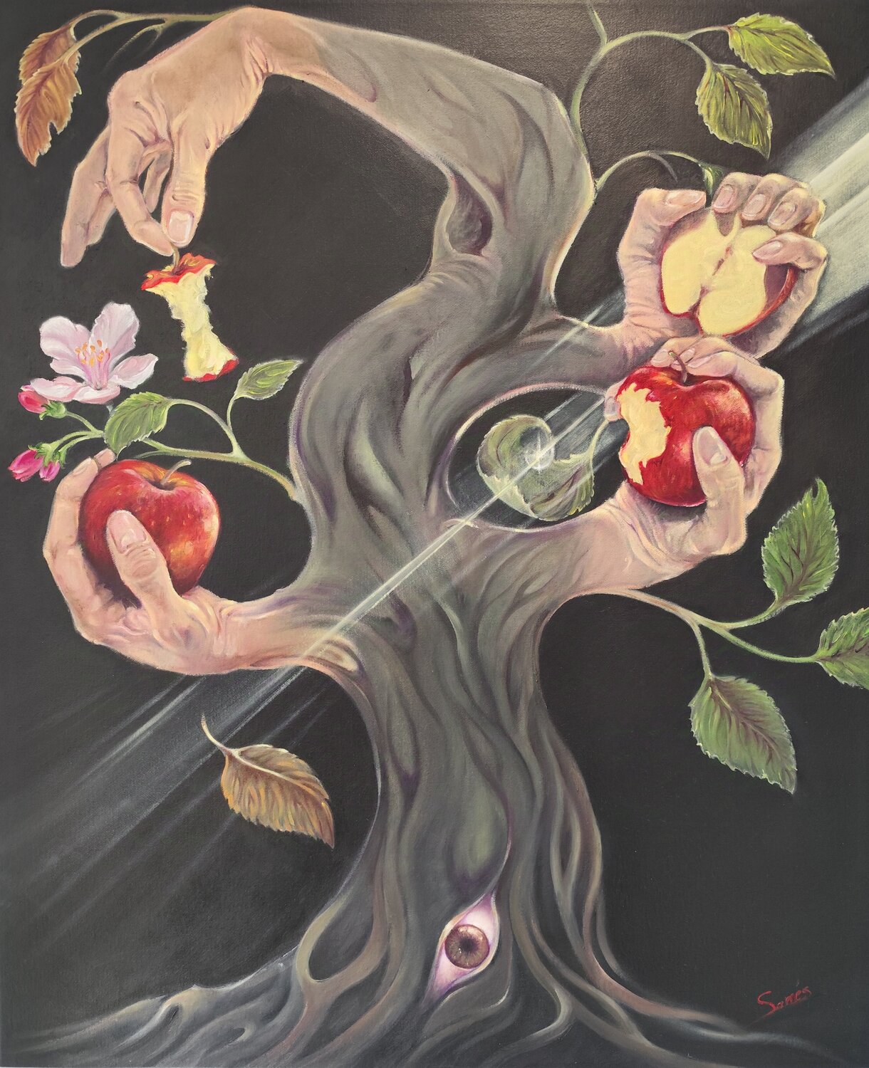 THE FOUR APPLES Sarrés Original painting for sale