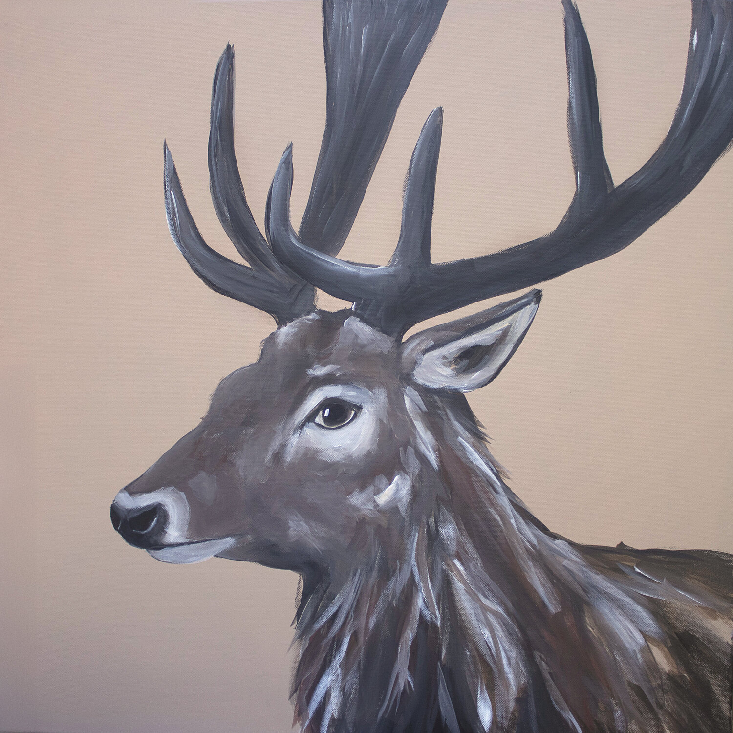 Rothirsch Barbara Dräger Original painting for sale
