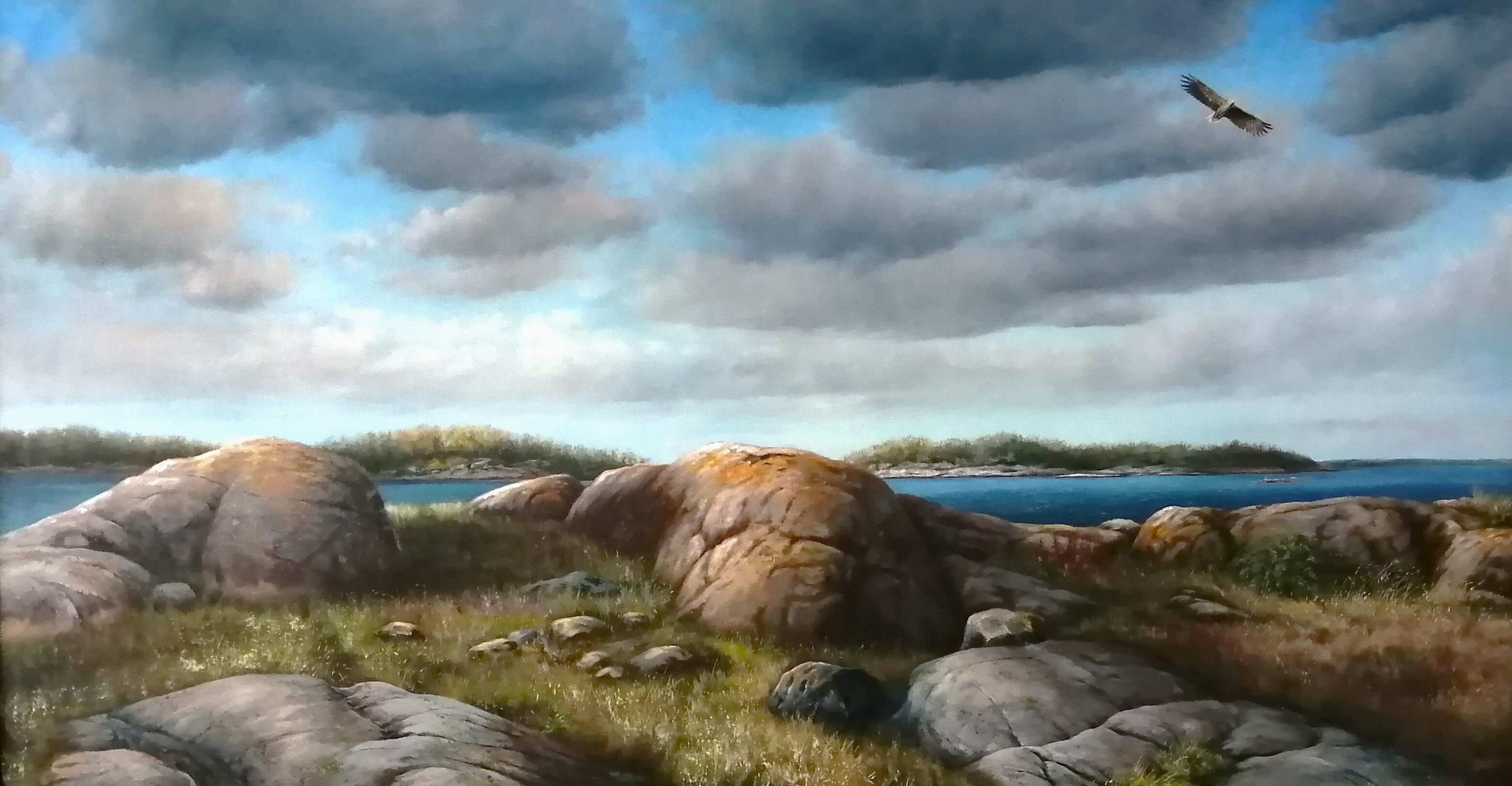 My landscape
