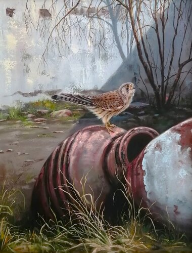 Look! There is a kestrel in the backyard! by Satu Helle, Painting for Sale on Select