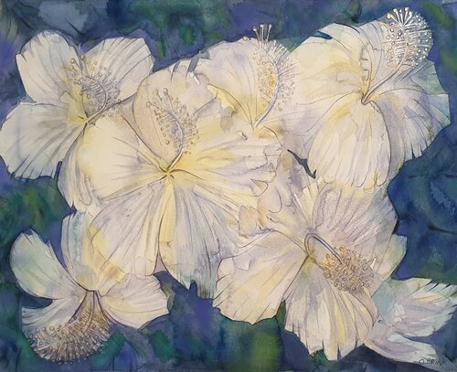 Hibiskus by Olga Brink, Painting for Sale on Select