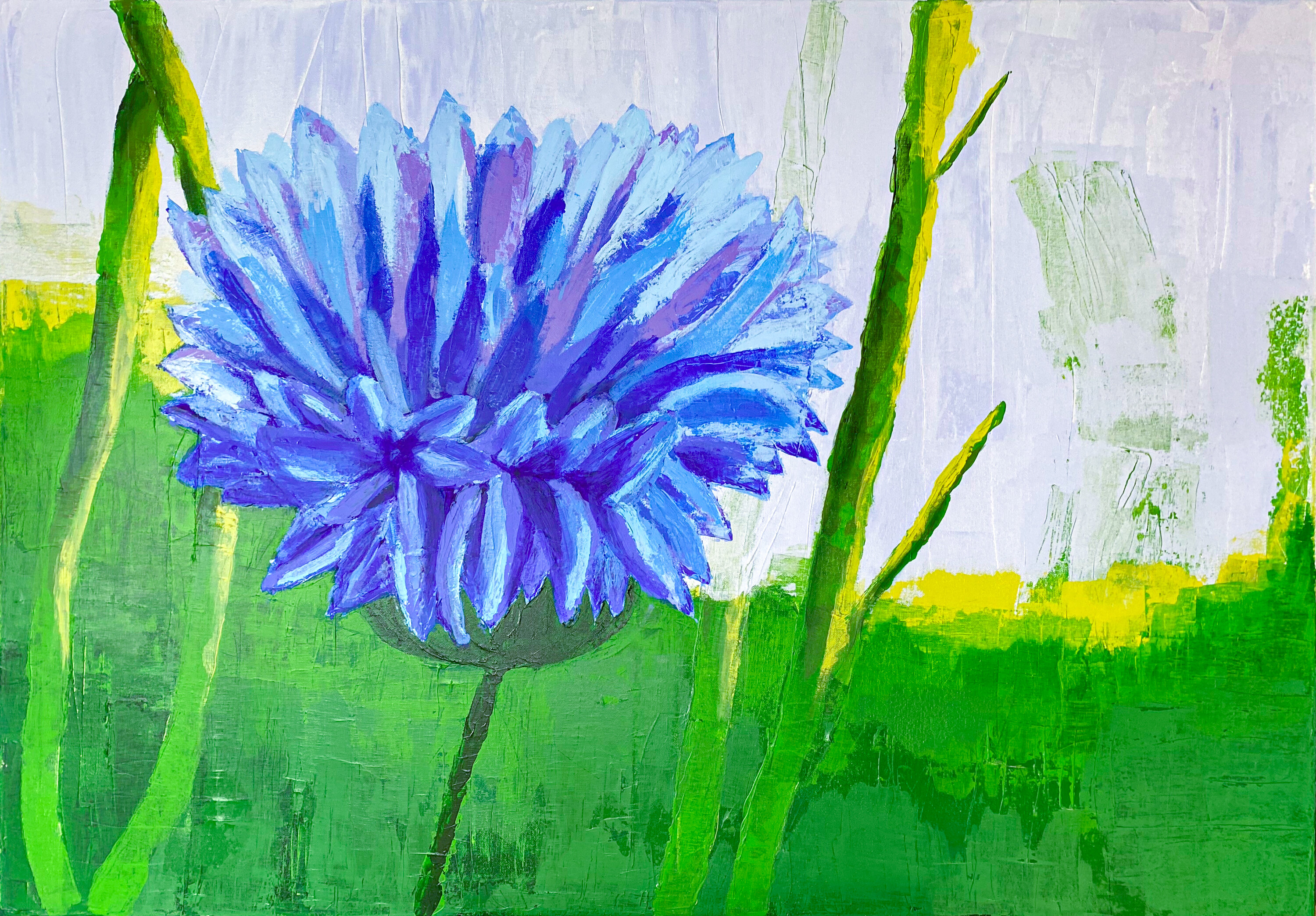 Kornblume