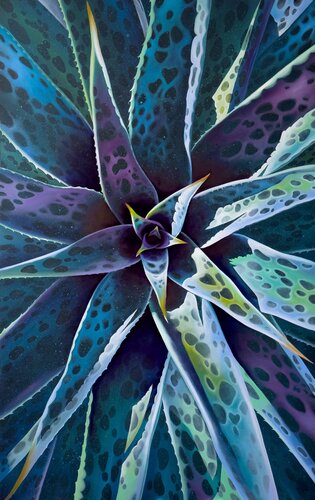 Aloe Maculata by Katya Rozz, Painting for Sale on Select