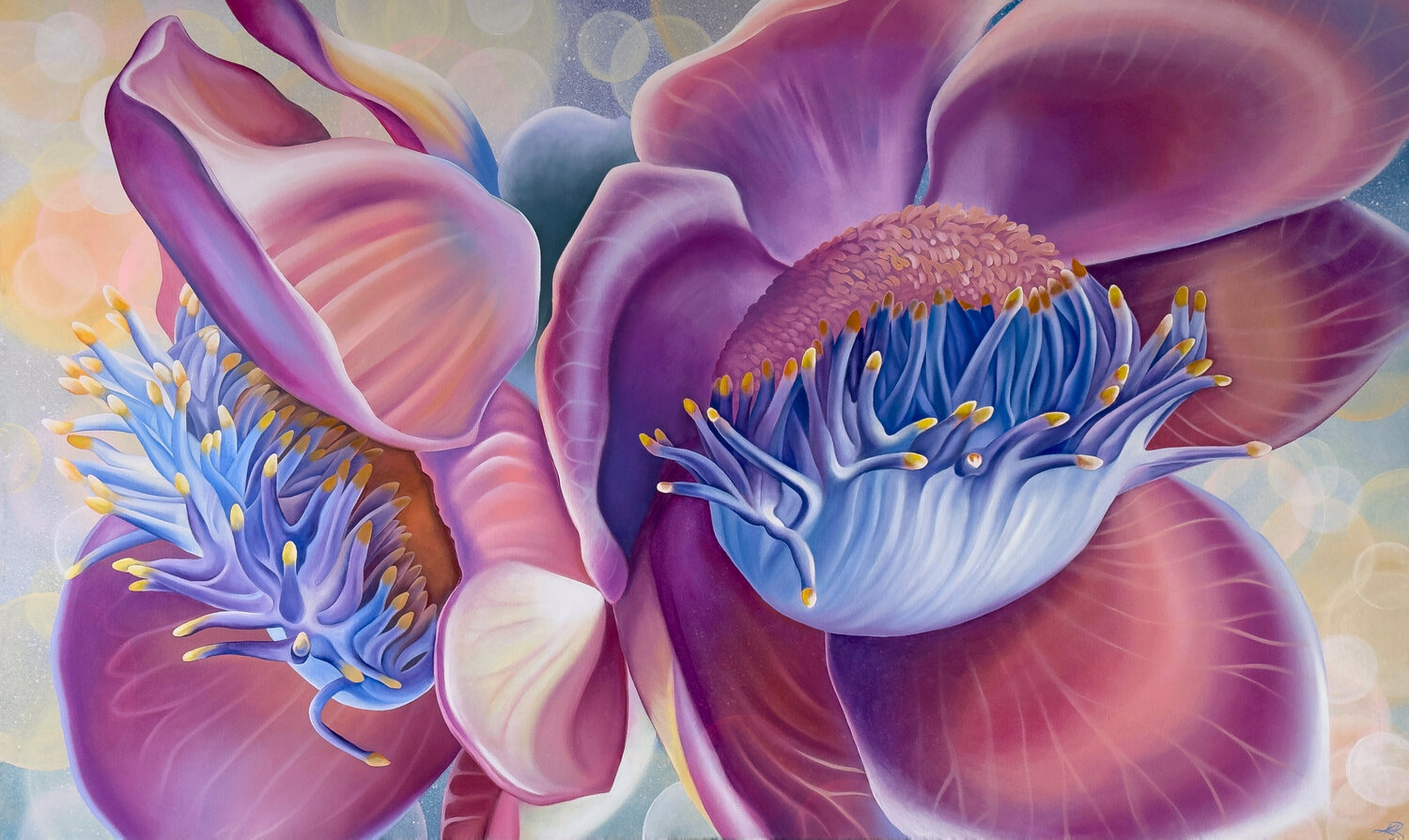 Cannonball Flower Katya Rozz Original painting for sale