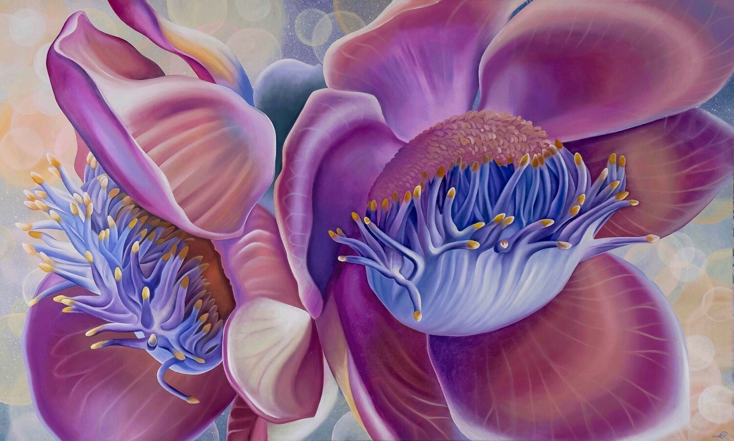 Cannonball Flower Katya Rozz Original painting for sale