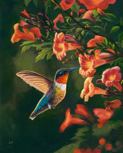 Hummingbird with trumpet vine by Lucía Verdejo, Painting for Sale on Select