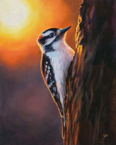 Downy woodpecker bird on a trunk by Lucía Verdejo, Painting for Sale on Select