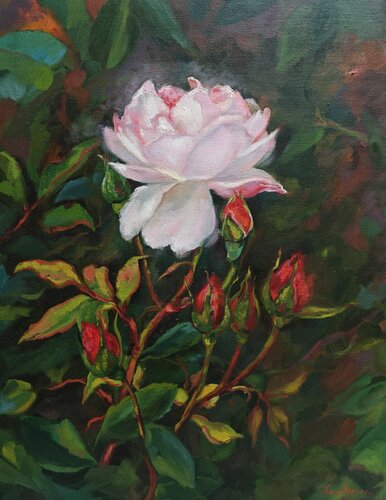 Rose - the first to bloom by Jane Lantsman, Painting for Sale on Select