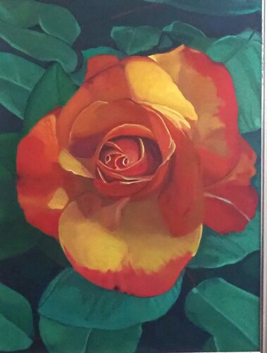 Cromie di una Rosa by Luigi Abbiati, Painting for Sale on Select