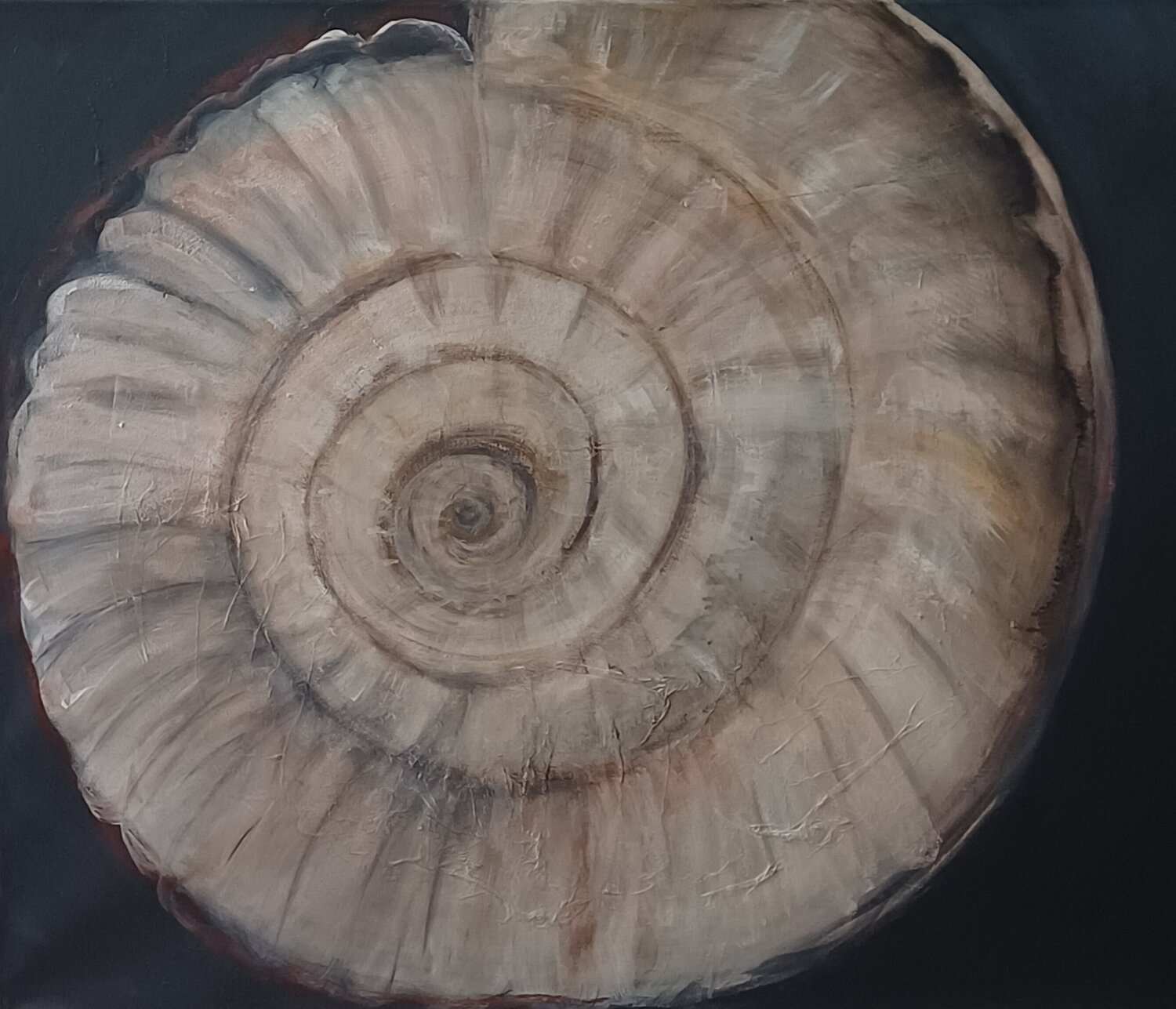 Ammonit Andrea Finck Original painting for sale