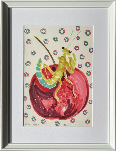 Mini Praying Mantis von Anne-Tjerk Mante, Zeichnungen kaufen auf Select