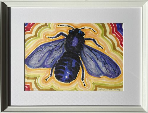 Blue-Black Carpenter Bee von Anne-Tjerk Mante, Zeichnungen kaufen auf Select