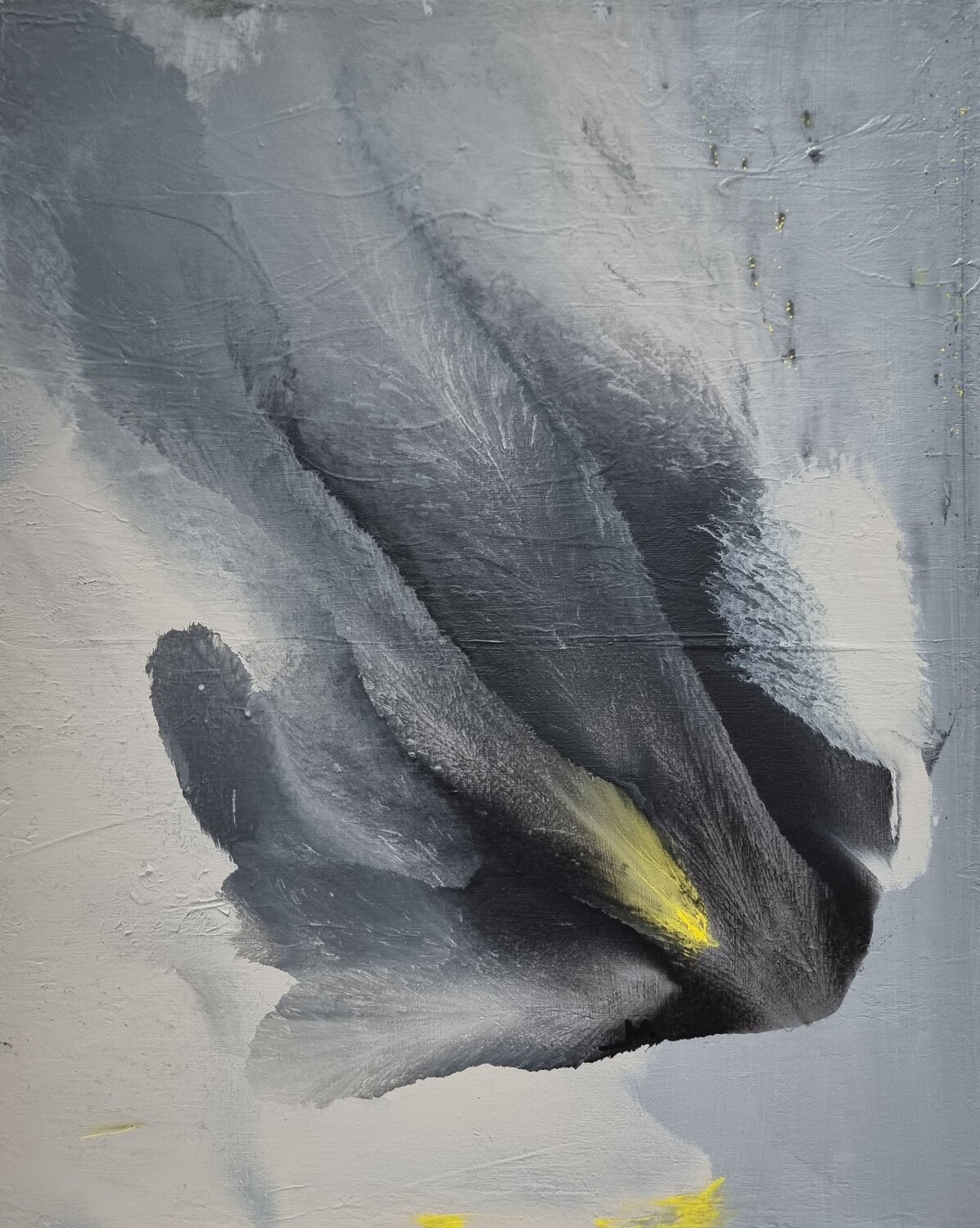 Fluffy Maira Rībena Original painting for sale