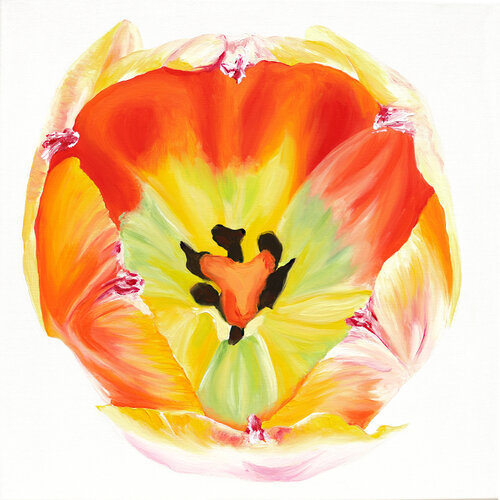 Little Tulip Babe No.3 by Sabine Siewert, Painting for Sale on Select