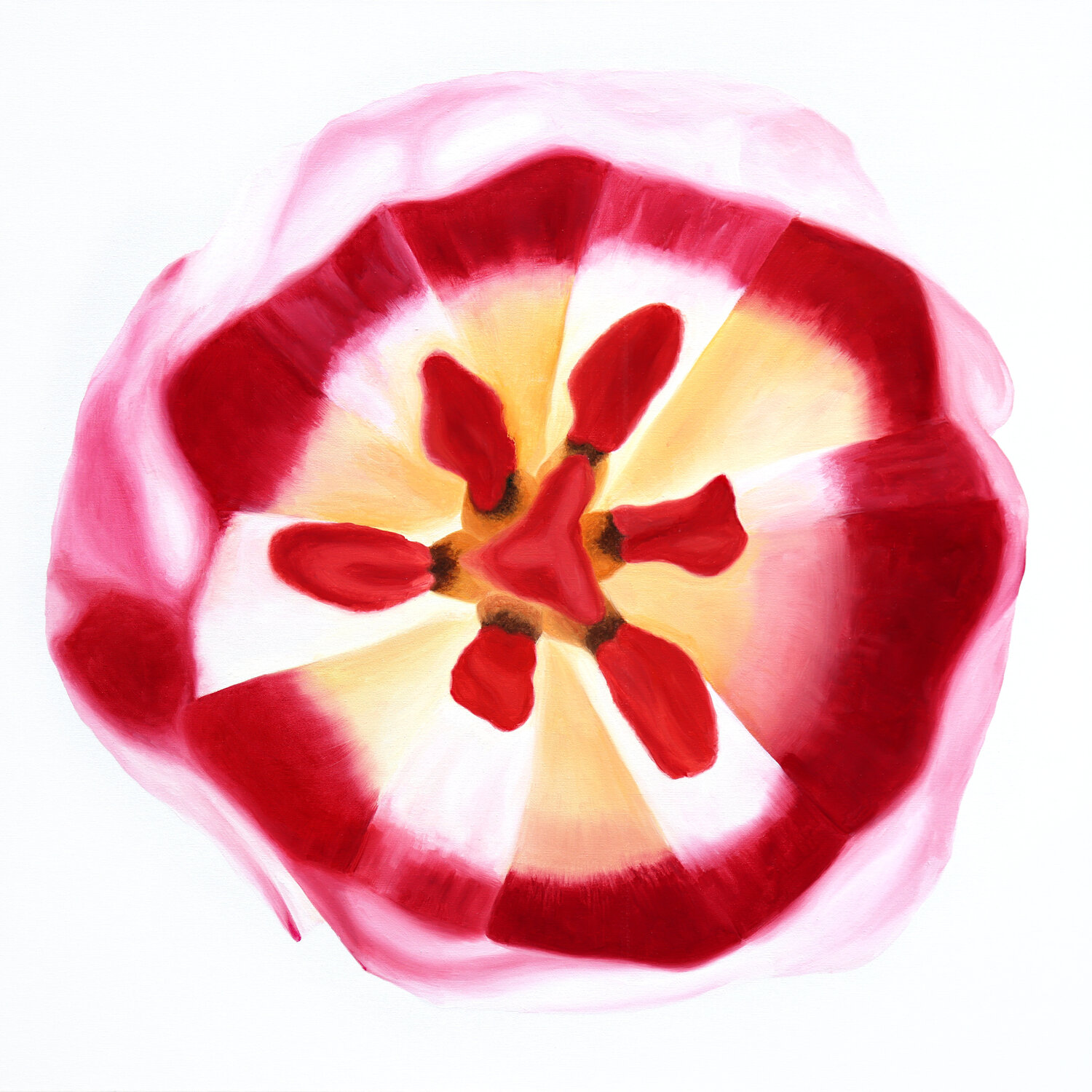 Wonderful Pink Yellow Tulip No.1 Sabine Siewert Original painting for sale