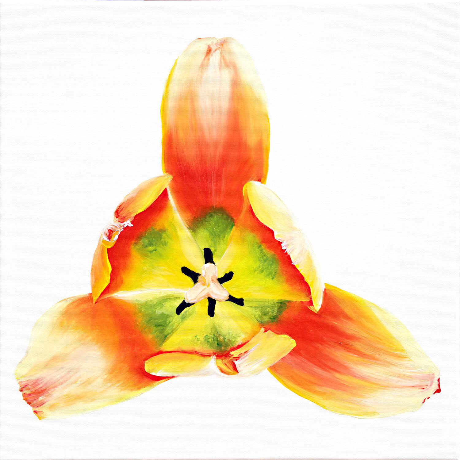 Little Tulip Babe No.1 Sabine Siewert Original painting for sale