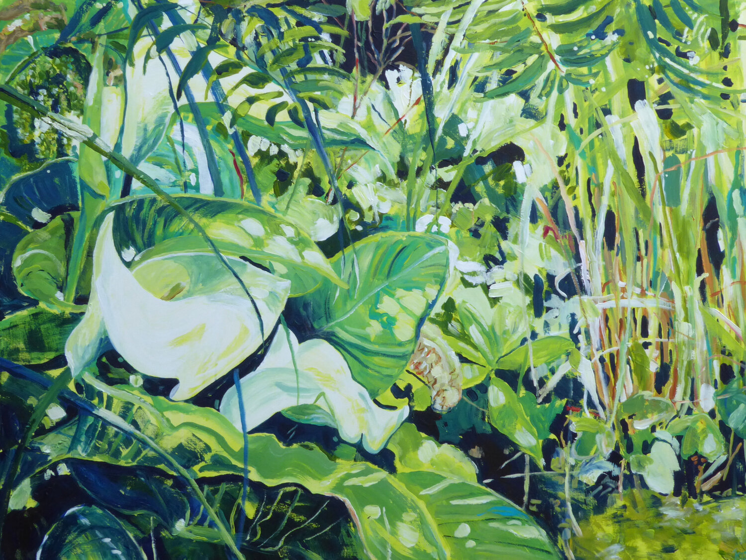 Callasumpf Kirsten Treis Original painting for sale