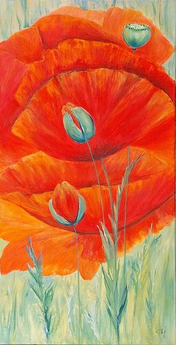 Leuchtender Mohn, die Farbe des Sommers by Henriette Lorkowski, Painting for Sale on Select