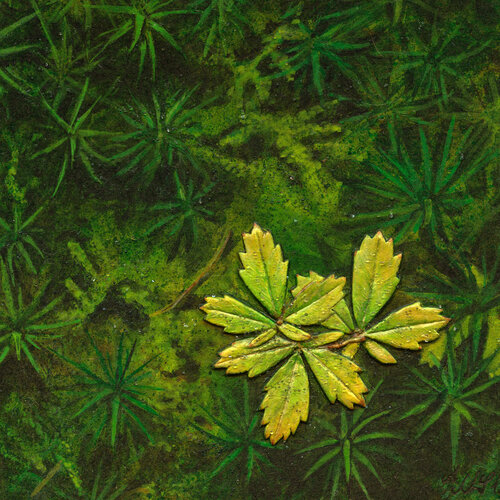 Macro 01 - Dreiblatt by Nicolina Schöfer-Wimmer, Painting for Sale on Select